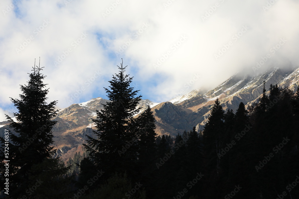 Mountain landscape with forest and white clouds in the mist at the top
