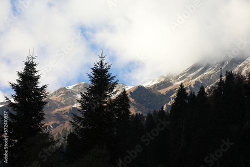 Mountain landscape with forest and white clouds in the mist at the top