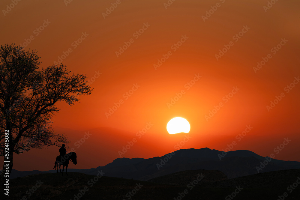 Silhouette of a rider on the horse standing on the at the sunset background.