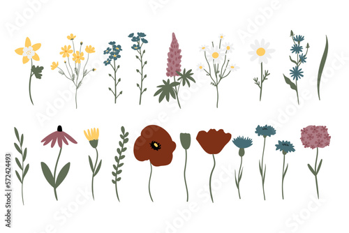 wildflower illustration clipart, vector cottagecore clip art, images in flat cartoon style, daisy, columbine, cosmos, forget me not, lupine, phlox