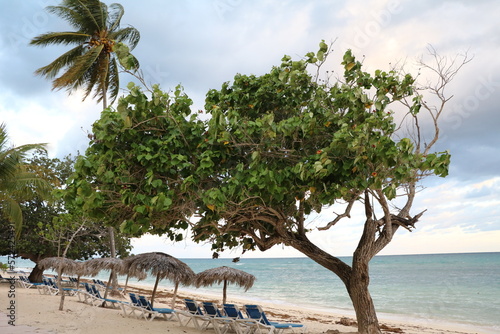 Playa Guardalavaca in Cuba photo