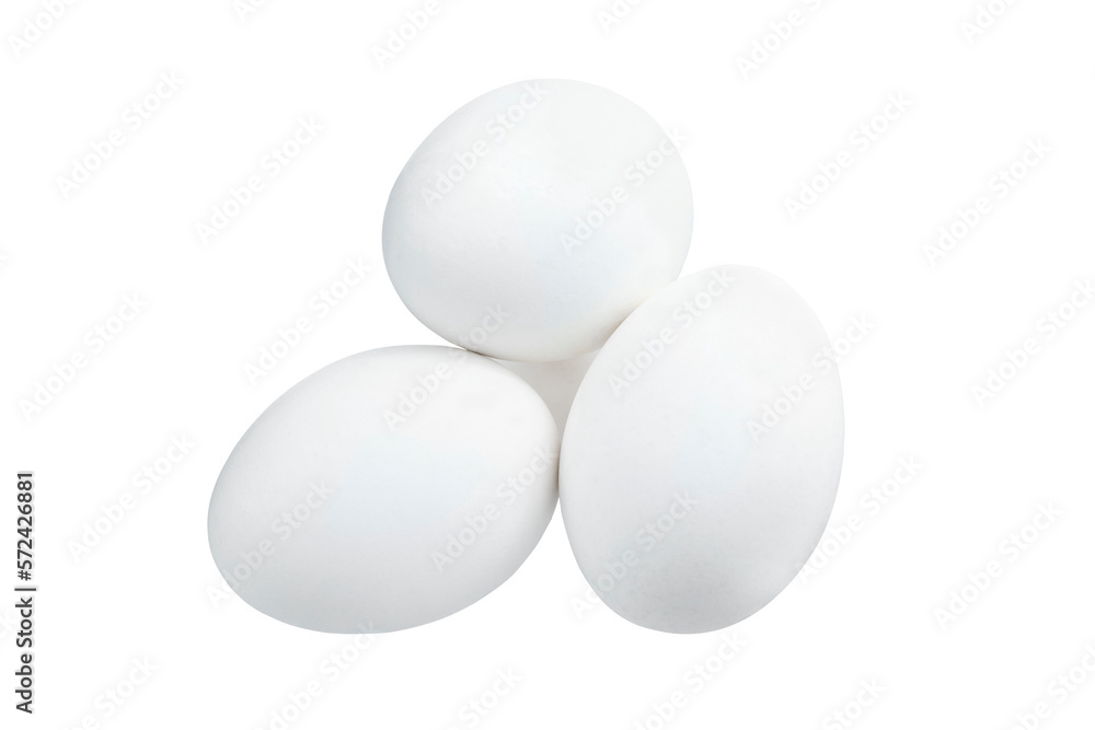 White chicken egg isolated on white background. Full Depth of field. Focus stacking. PNG White chicken egg isolated on white background. Full Depth of field. Focus stacking. PNG
