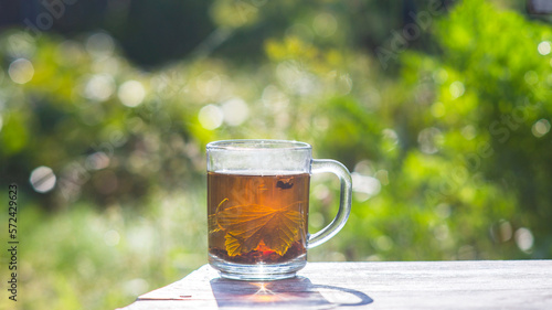 Transparent mug with fresh hot berry black tea and currant. An invigorating drink in the early morning in nature with the rays of the warm sun