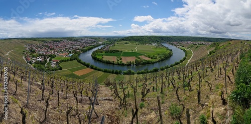 Neckarschleife Mundelsheim photo