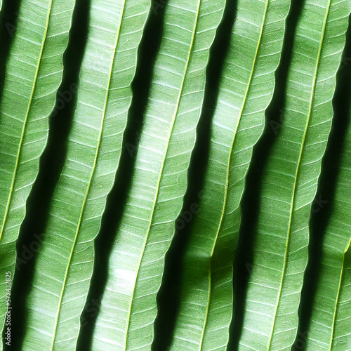 Seamless pattern tropical leaf background