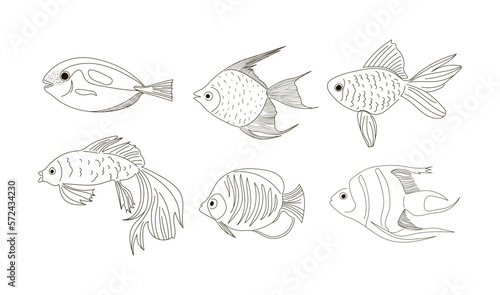 Set of fish in a linear style. Vector illustration of six fish isolated on a white background.