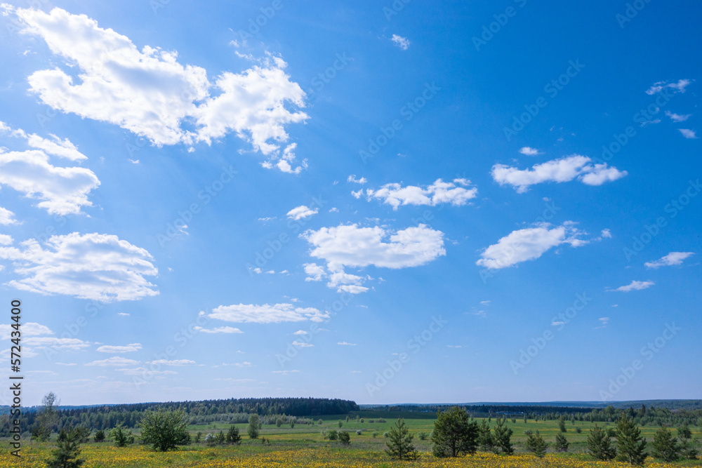 A field of yellow dandelions in a summer timelapse, clouds float across the blue sky, the rays of the sun penetrate through the clouds. Forest in the background. Outdoor recreation