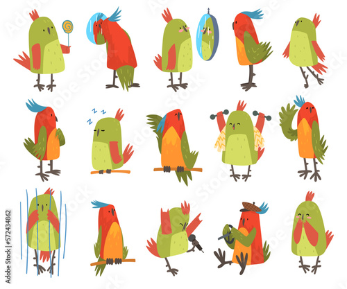 Funny Parrot Perching, Looking in Mirror and Sitting in Cage Big Vector Set
