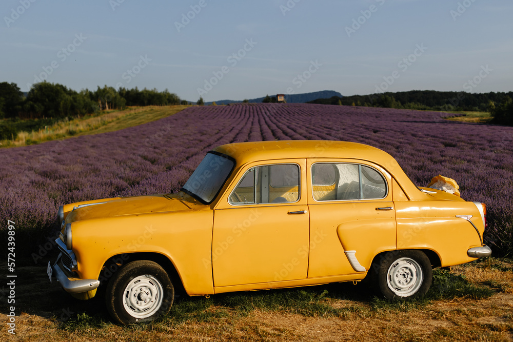 Yellow retro car in a lavender field in the morning with fog and sun.