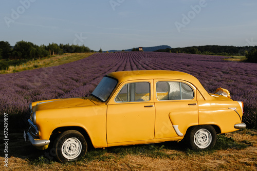 Fototapeta Naklejka Na Ścianę i Meble -  Yellow retro car in a lavender field in the morning with fog and sun.