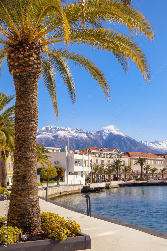Beautiful winter Mediterranean landscape. Montenegro. View of embankment of Tivat city  and Kotor Bay on sunny winter day. Snow-capped Lovcen mountain