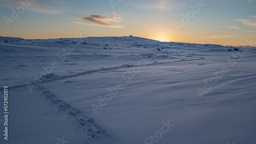 Sunrise in the mountains