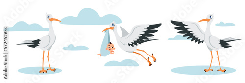 Vector illustration of cute and beautiful storks with different emotions and poses isolated on white background.Charming characters of a stork carrying a baby among blue clouds in a cartoon style.