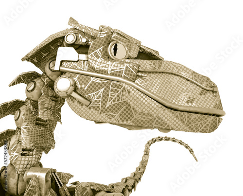 raptor in camouflage on white background close up view