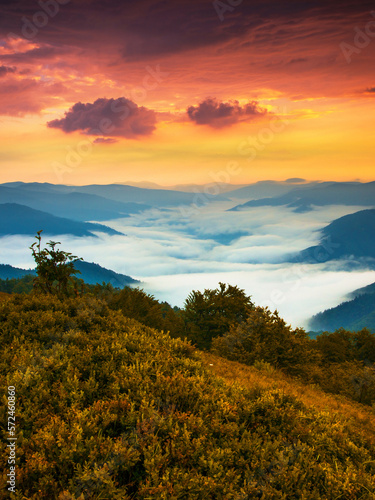 picturesque summer landscape, wonderful sunset in the mountains  © Rushvol