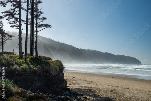 Some trees against the coast and layers of fog over the hills can be seen in the background, at Cape Lookout in Oregon. Vertical format