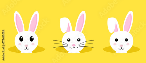 Easter Bunny.Happy Easter Banner.Vector Illustration