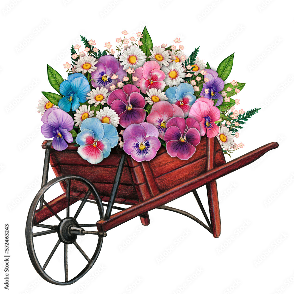 Watercolor wooden half wheelbarrow planter full of daisies and pansies
