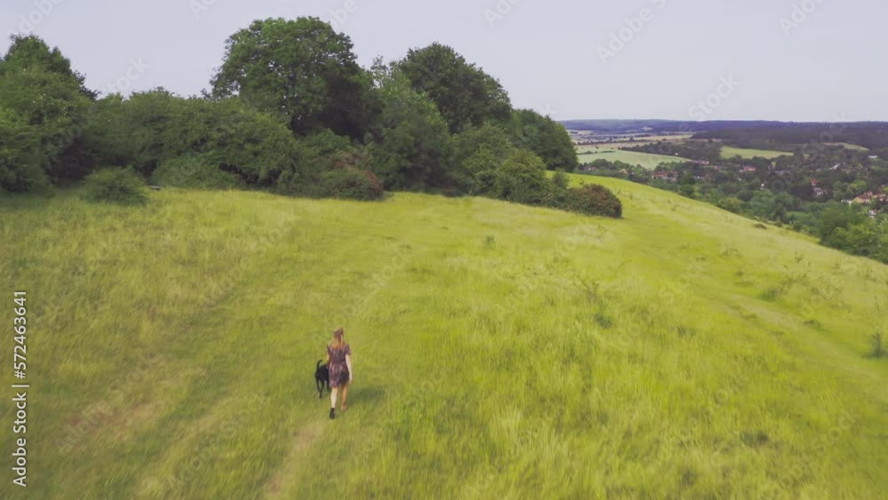 Drone shot of woman with pet black Labrador dog walking away from camera on Streatley Hill in West Berkshire UK through summer field with village in background Drone shot of woman with pet black Labrador dog walking away from camera on Streatley Hill in West Berkshire UK through summer field with village in background