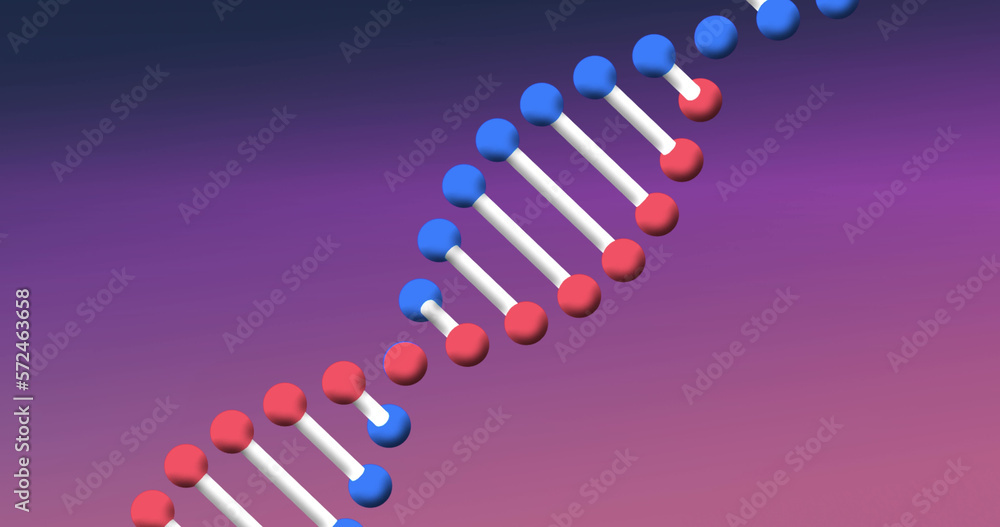Obraz premium Composition of macro of dna strand on purple background