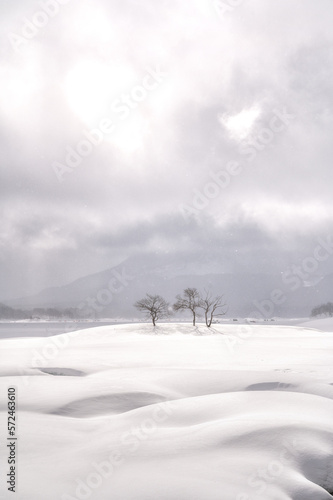 福島県北塩原村 檜原湖の雪原