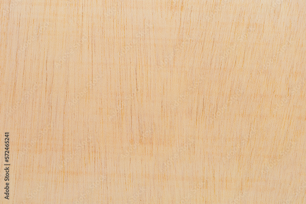 Light rough textured cut surface of an African tree. Wood background or blank for design Light rough textured cut surface of an African tree. Wood background or blank for design
