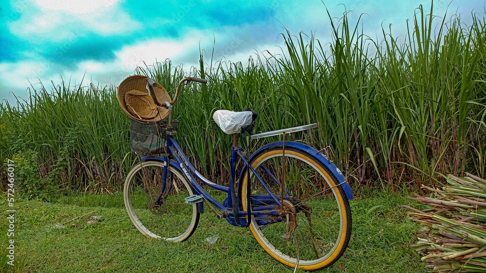 Fototapeta premium bicycle in the grass