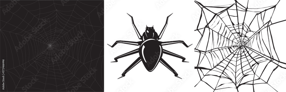 Obraz premium A spider with a web of two variants. The vector is editable.