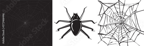 A spider with a web of two variants. The vector is editable.