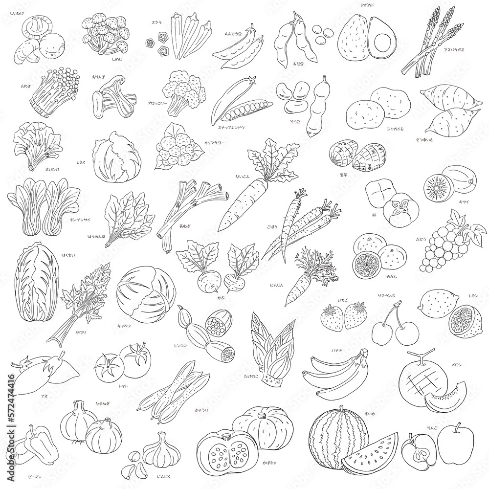 食材～野菜とフルーツ・線画～png