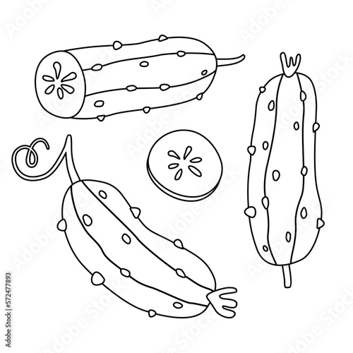 Doodle cucumber set. Can be used for menu, packaging, textile. Vector illustration isolated on white background.