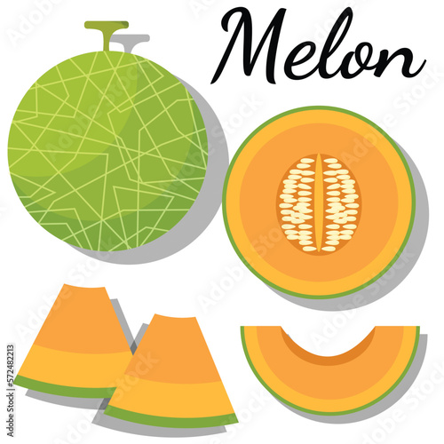 illustrasion of melon set