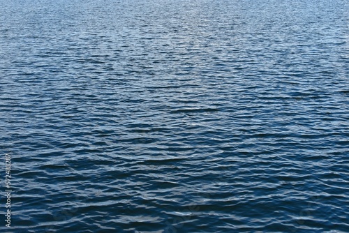 Background of calm blue water.