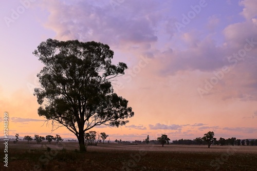 Gunnedah, New South Wales, Australia, 06012022: Country grazing land at dawn. photo