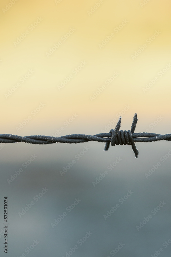 Frost on farm barbed wire fence close up with copy space