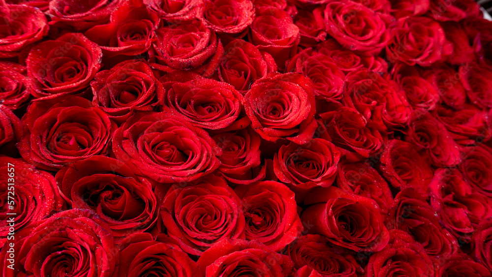 flower arrangement roses background beautiful flower arrangement roses background beautiful