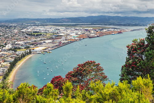 View of Tauranga sea port from Mount Maunganui, New Zealand