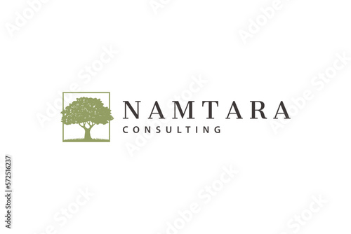 Tree logo design for business company