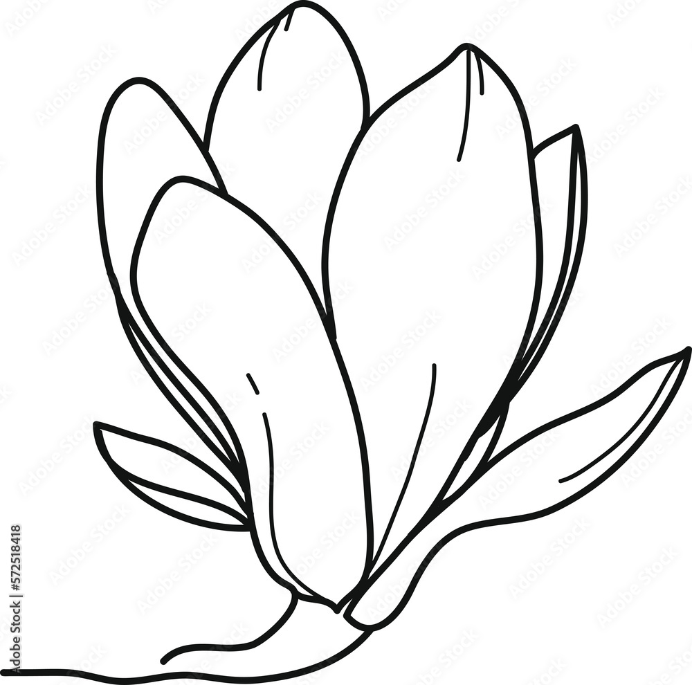minimal botanical graphic sketch line art drawing, trendy tiny tattoo design, floral elements vector illustration