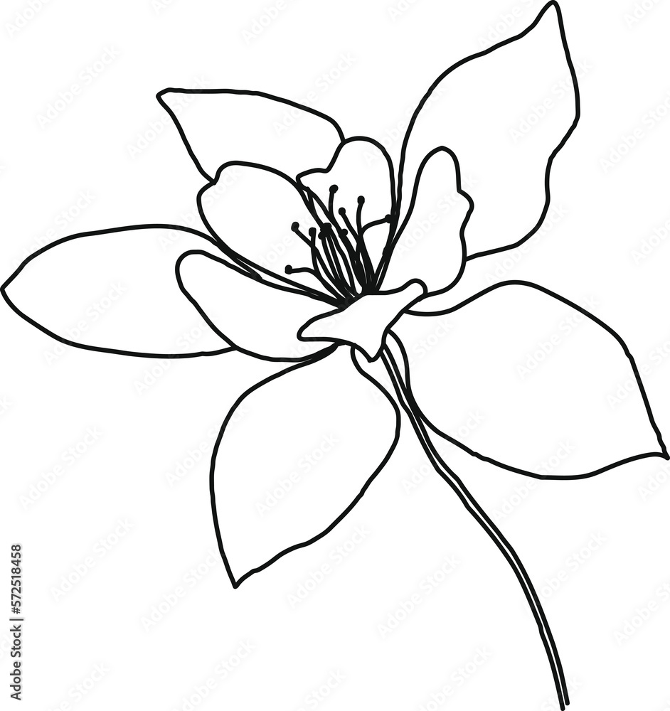 minimal botanical graphic sketch line art drawing, trendy tiny tattoo design, floral elements vector illustration