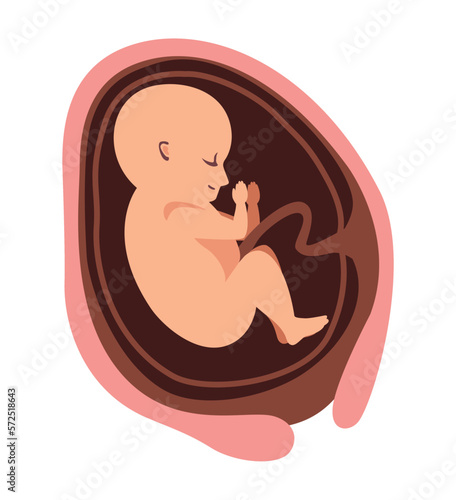 thirty week fetus baby