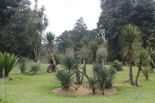The beauty of the lake in the middle of the lake