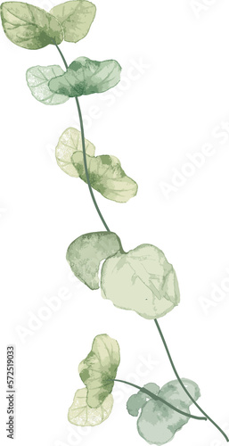 watercolor leaf and flower. Botanical illustration minimal style. 