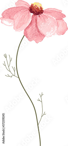 watercolor leaf and flower. Botanical illustration minimal style.
