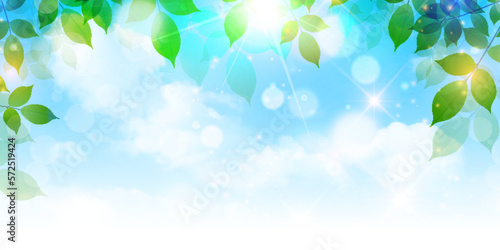 新緑　葉　風景　背景