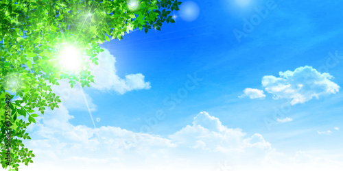 新緑　葉　風景　背景