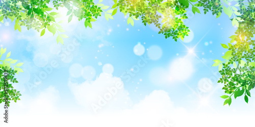 新緑　葉　風景　背景