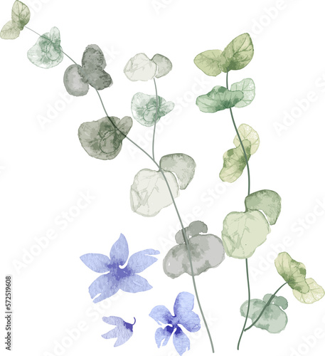 Fototapeta Naklejka Na Ścianę i Meble -  watercolor leaf and flower. Botanical illustration minimal style.