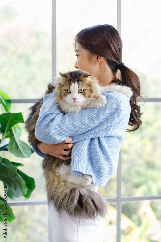 Millennial Asian young female owner standing smiling holding showing love playing with cute fat tabby long hair little domestic kitty furry purebred pussycat pet friend in arms in living room at home Millennial Asian young female owner standing smiling holding showing love playing with cute fat tabby long hair little domestic kitty furry purebred pussycat pet friend in arms in living room at home