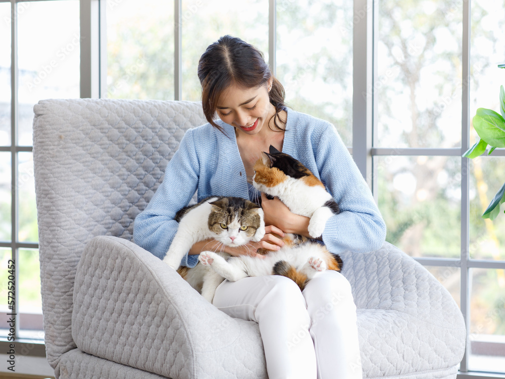 Millennial Asian young female owner sitting on cozy armchair smiling holding hugging cuddling showing love with two cute fat tabby short hair little domestic kitty furry purebred pussycat pet friend Millennial Asian young female owner sitting on cozy armchair smiling holding hugging cuddling showing love with two cute fat tabby short hair little domestic kitty furry purebred pussycat pet friend
